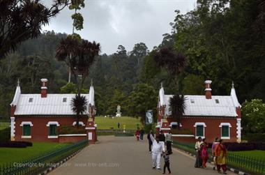 Botanical Garden, Ooty_DSC5576_H600